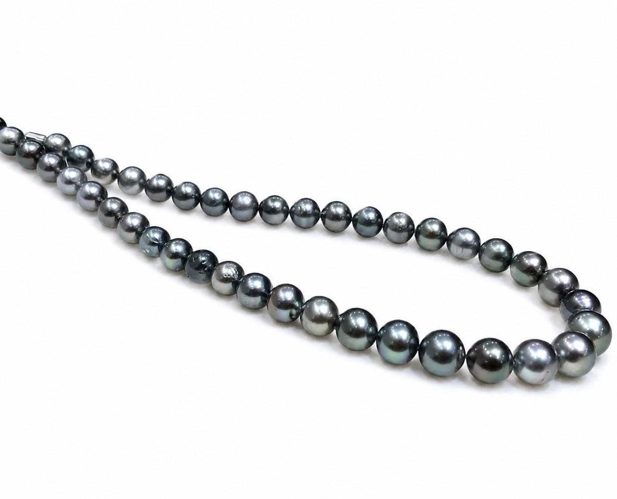 The Classic Akoya Necklace