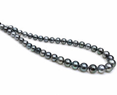 The Classic Akoya Necklace